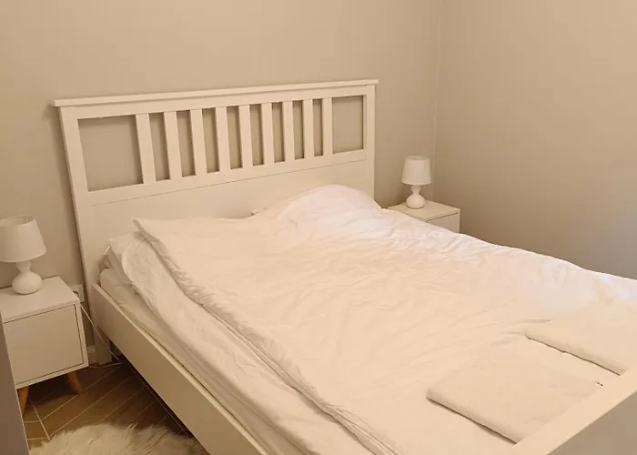 Ustronska Jodelka Z Balia I Ogrodem-nadrzeczna Apartment Ustron